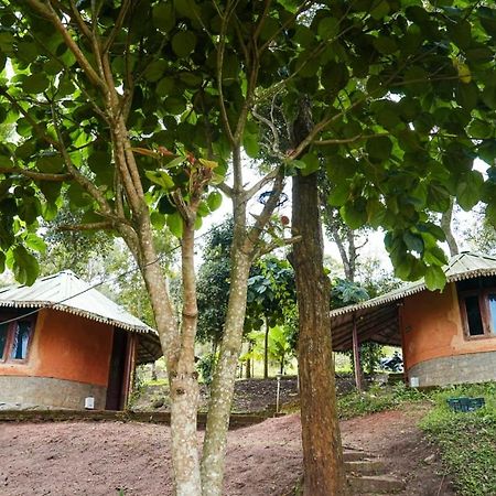 Punarjani Ayurvedic Resorts Ramakkalmedu Dış mekan fotoğraf