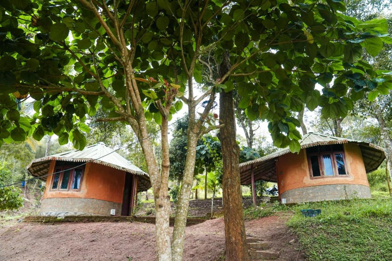 Punarjani Ayurvedic Resorts Ramakkalmedu Dış mekan fotoğraf