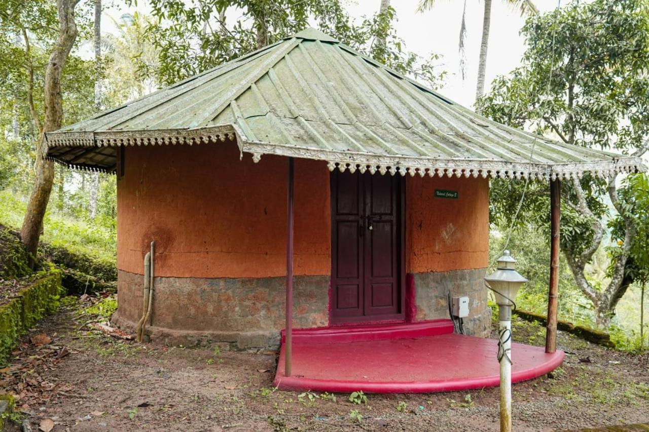 Punarjani Ayurvedic Resorts Ramakkalmedu Dış mekan fotoğraf
