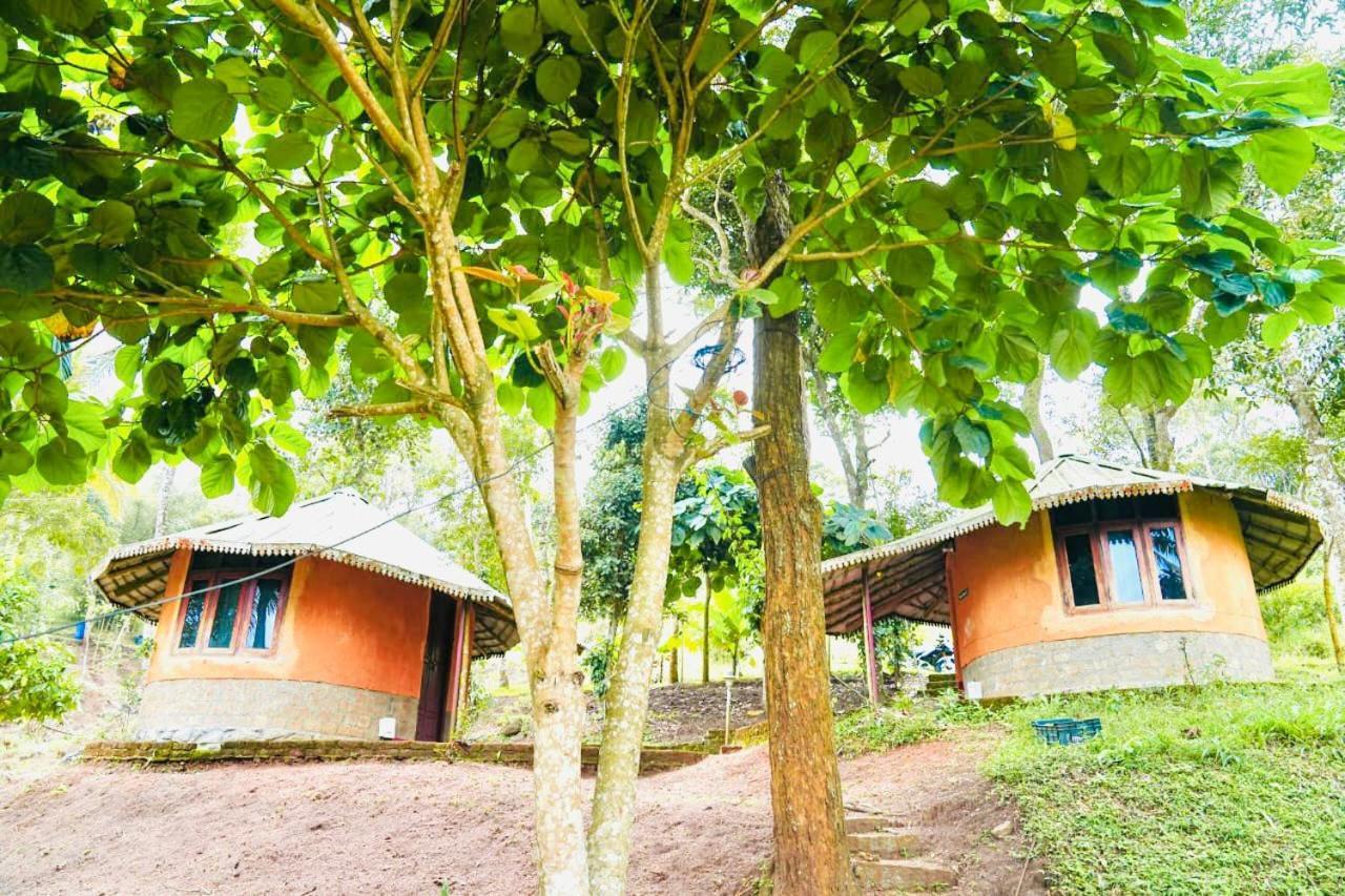 Punarjani Ayurvedic Resorts Ramakkalmedu Dış mekan fotoğraf