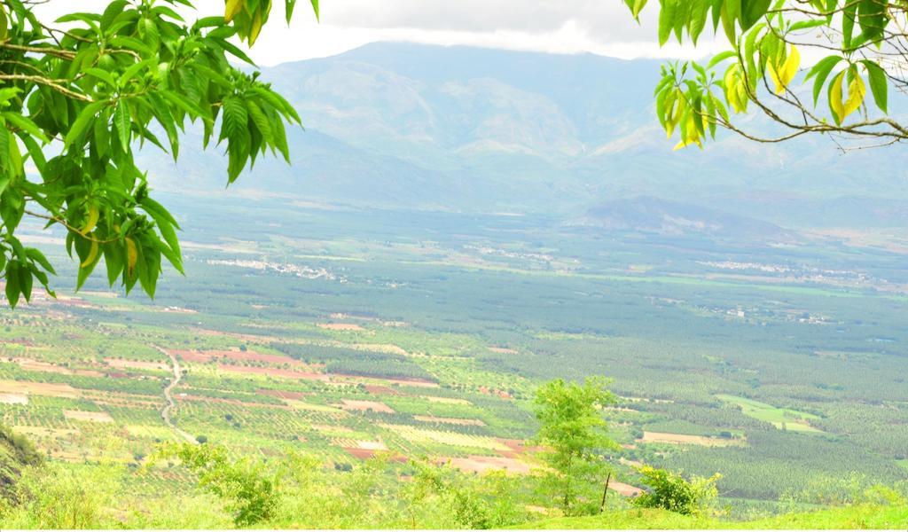 Punarjani Ayurvedic Resorts Ramakkalmedu Dış mekan fotoğraf
